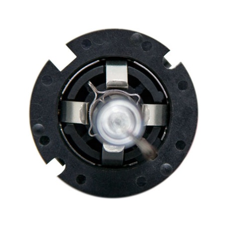 d4r-2